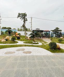 Tiểu Cảnh Sân Đẹp, Độc Đáo Nhất Hiện Nay Tại Quảng Ninh